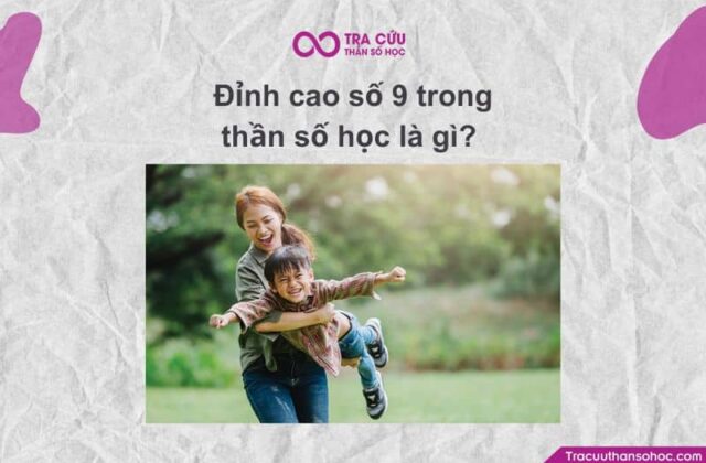 Đỉnh cao số 9 là gì? Đặc điểm và ý nghĩa ở từng giai đoạn trong biểu đồ kim tự tháp